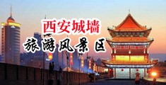 8x少妇内射中国陕西-西安城墙旅游风景区